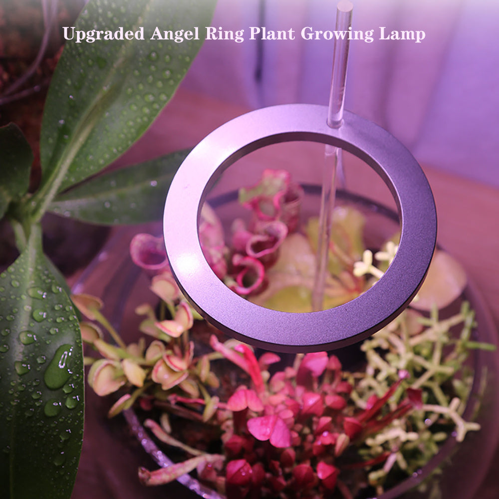 🌙 Enchanted Halo Grow Light – A Witch’s Touch for Thriving Greenery 🌿✨ - Two Broke Witches